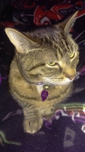 13076819_10102881444668884_5617695901396325641_n