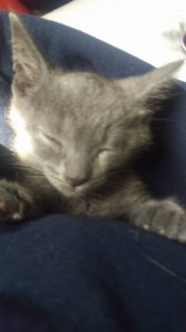 13226981_10102909702200564_2238208605029645292_n