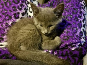 13230209_10102909494137524_7671411069399384404_n